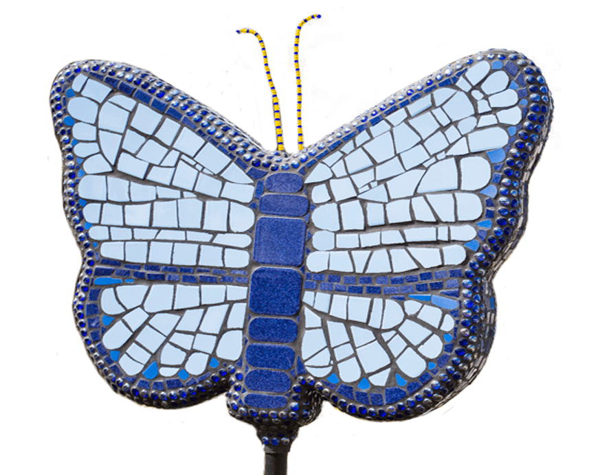 Blue-Butterfly