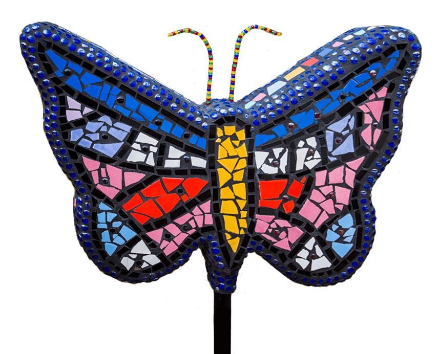 Colourful-butterfly