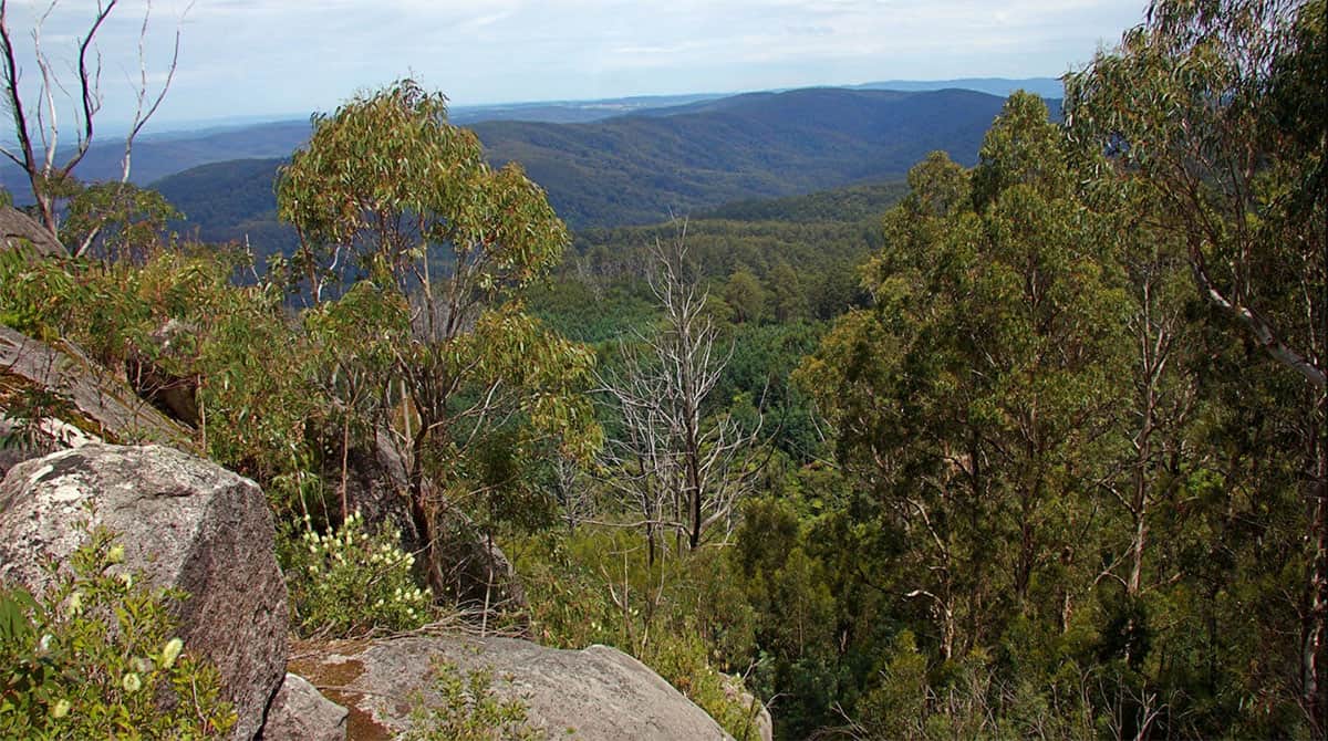 Seven-Acre-Rocks-Gembrook