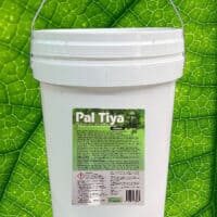 Pal Tiya Premium - Image 3