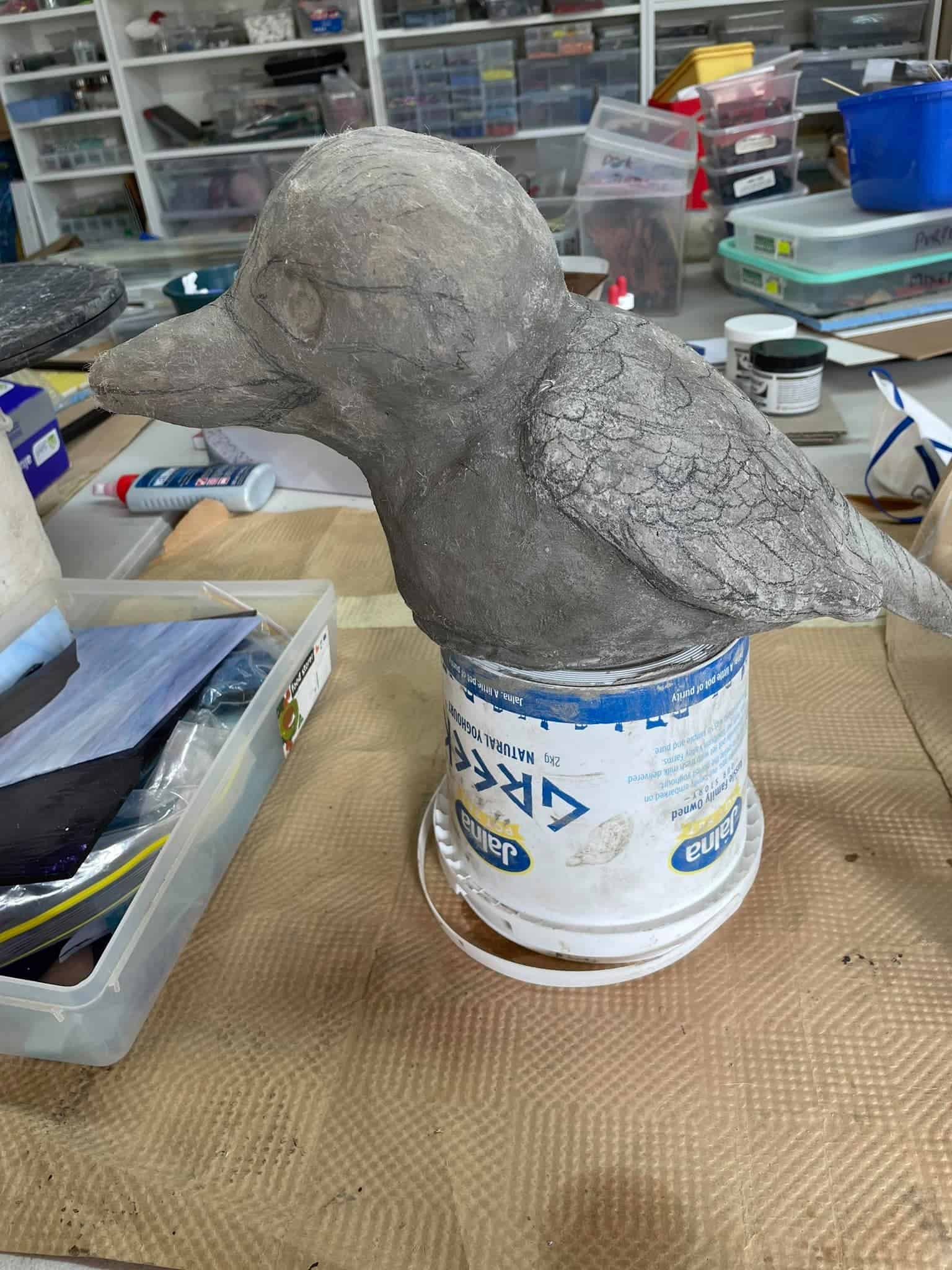 Cured Kookaburra drawn up for mosaic